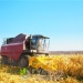 Жатка кукурузная с интегрированным измельчителем JOHN GREAVES ЖК-80 (жатка приставка для уборки кукурузы)